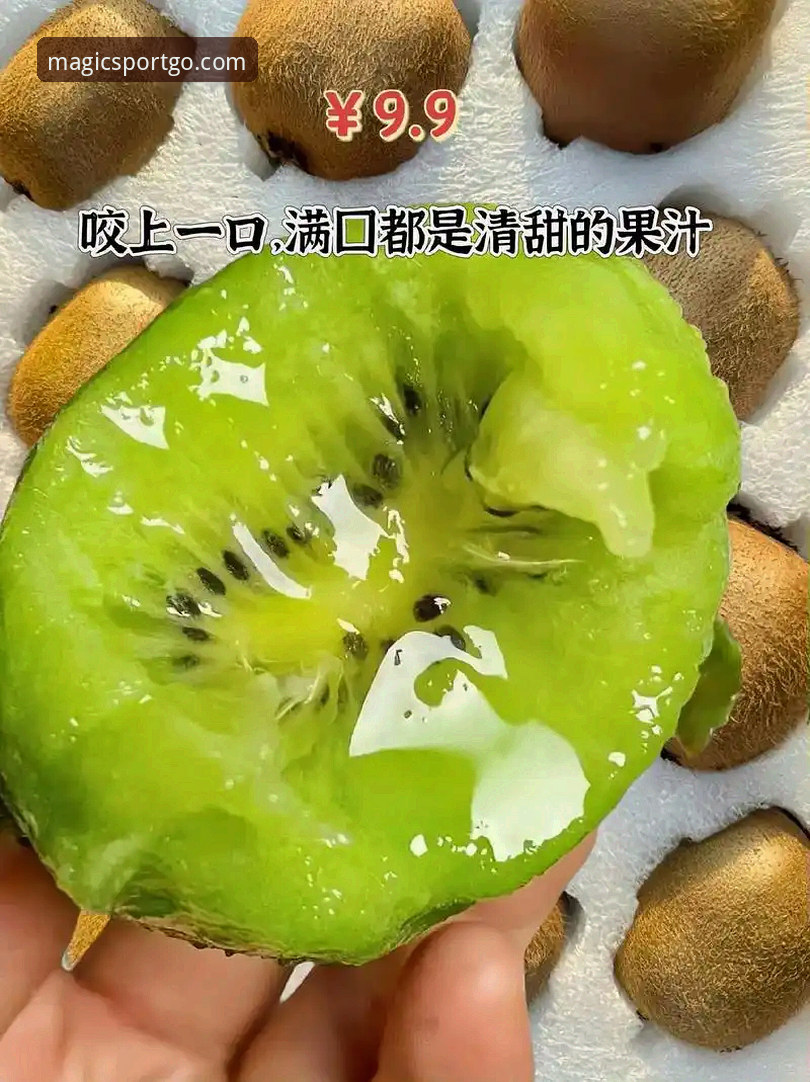 奇异果体育数据手机版 奇异果体育数据手机版使用教程:从入门到精通的完整操作指南